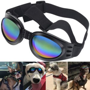 Dog goggles