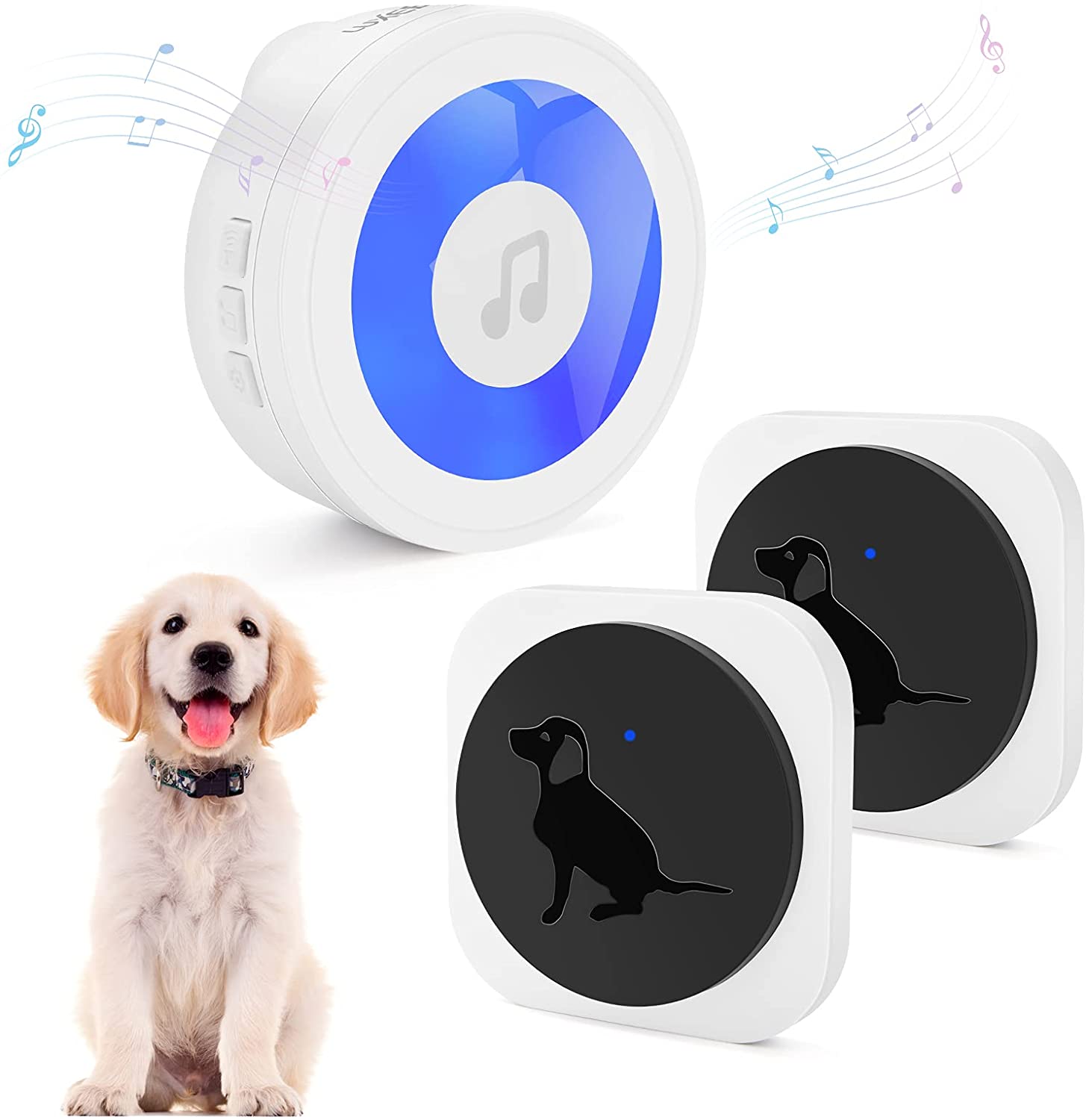 Top 5 Dog Training Tools On Amazon Kuppons top-5-dog-training-tools-on-amazon-kuppons