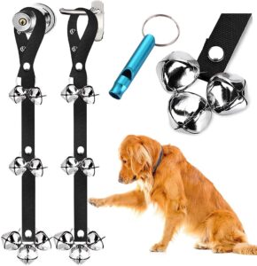 Read more about the article Top 5 Dog Training Tools on Amazon